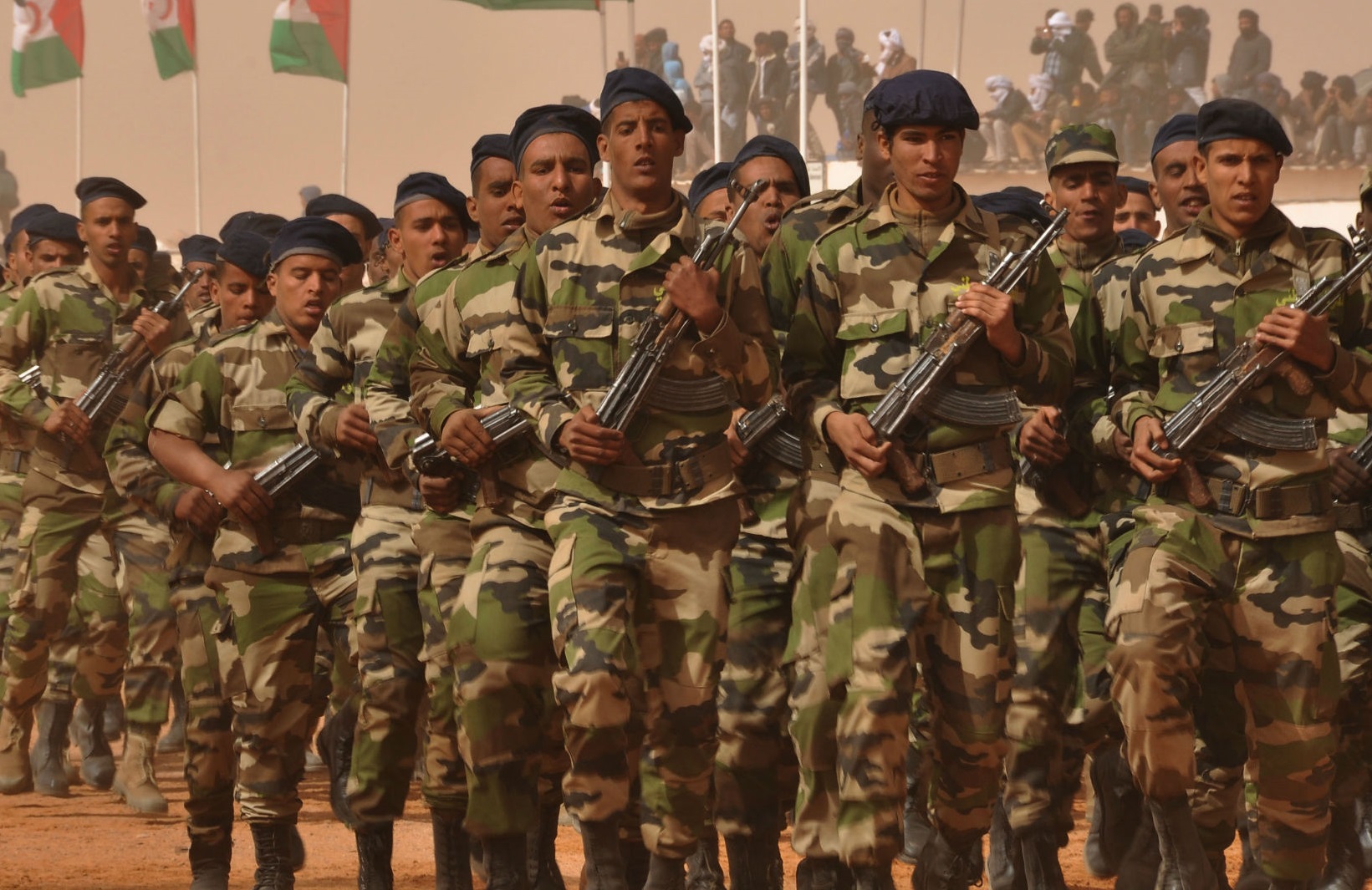 Parade de l'armée sahraouie. D. R.